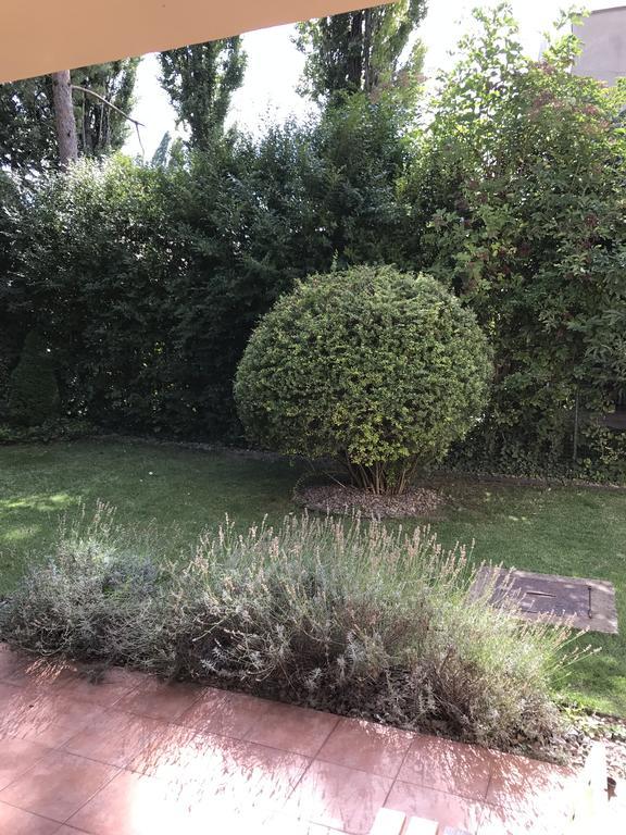 Apartment Jane Senec Zewnętrze zdjęcie
